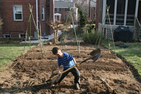 Trying to Dig Deeper, or 21st Century Common Sense, Part 4