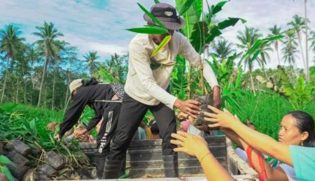 Gardens Instead of Machine Guns – Making Peace through Organic Farming