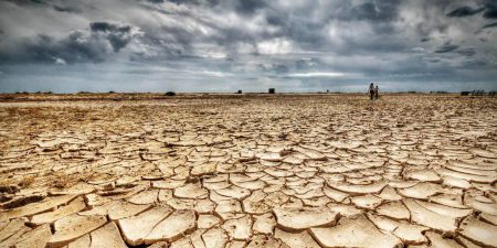 How Agave Agroforestry Can Restore Drylands and Strengthen Climate Resilience