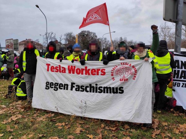 8 Lessons from 3 Tesla Unions in 3 Countries