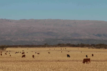 Energy Beyond Extraction in Argentina