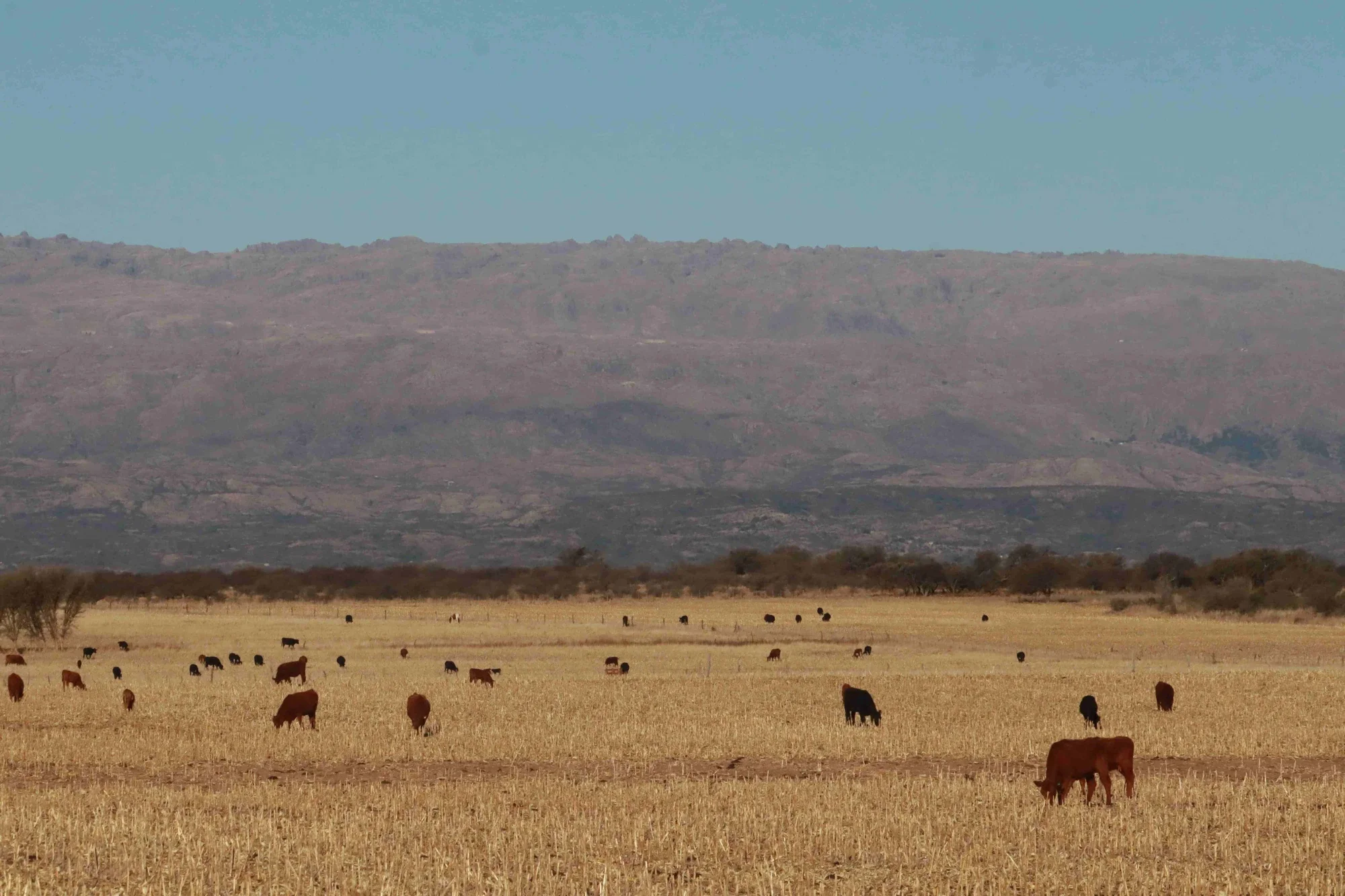 Energy Beyond Extraction in Argentina