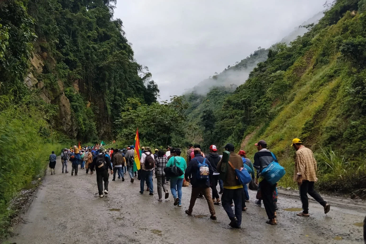 Indigenous Organization Forces Repeal Of Land Privatization Law In Bolivia