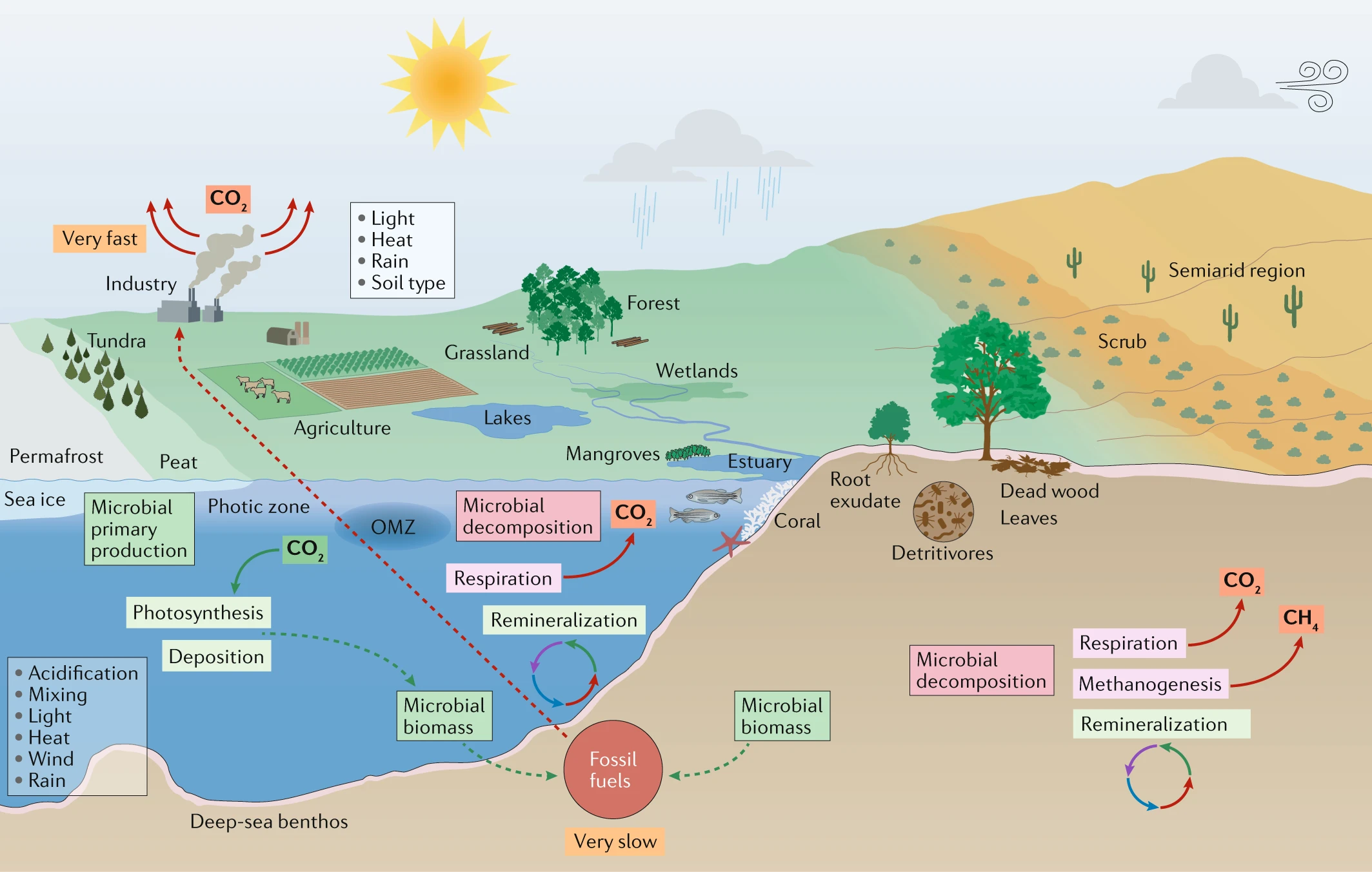 Media Myopia as We Hurtle Towards Climate Oblivion