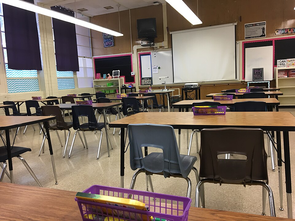 Big Scale But Plausible Activist Education