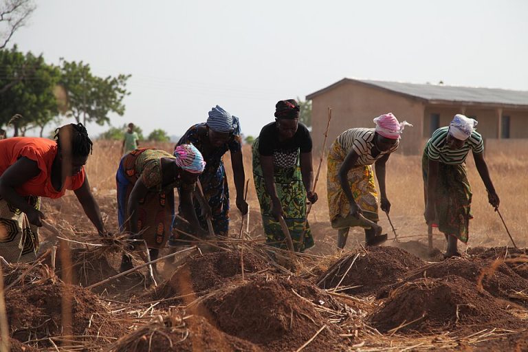 Women Farmers in Ghana Turn to Agroecology to Confront Climate Change