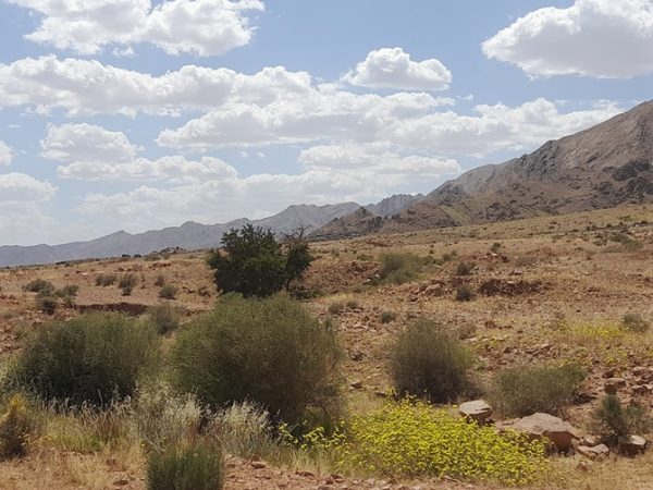 Water, Desertification, and the Rebirth of Territories