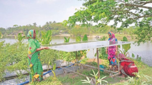 Women’s Leadership: Driving Bangladesh’s New Horizon of Climate Resilience