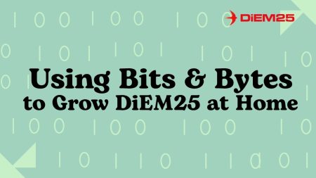 Using Digital Organizing Tools – DiEM25
