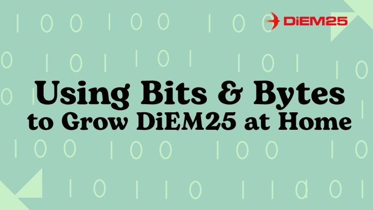 Using Digital Organizing Tools – DiEM25