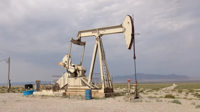 Phasing Out Fossil Folly