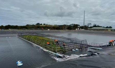 Floating Wetlands a Promising Way to Decrease Wastewater Emissions