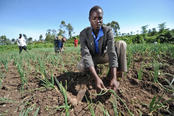 Unequal Exchange in Africa’s CFA Zone