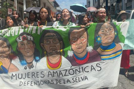The US Wants Minerals from South America. Its Environmental Defenders Fear What Comes Next.