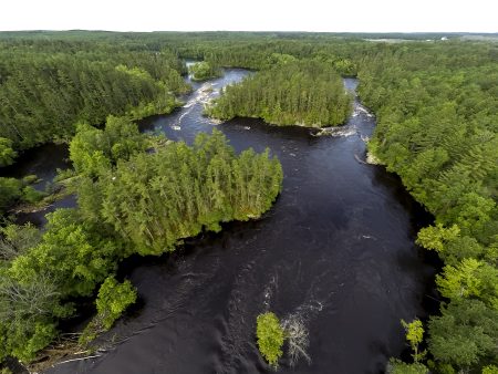 How Restoration Efforts Helped Marinette County Recover Its Forests, Streams, and Future