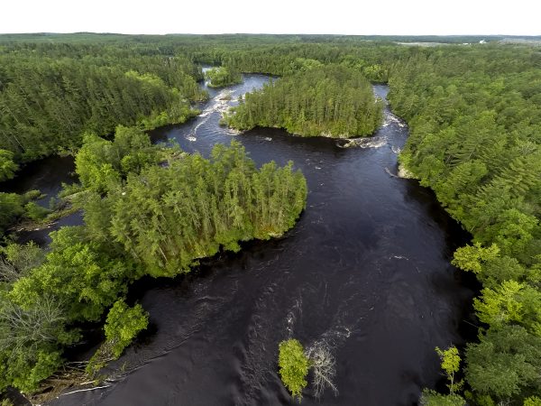 How Restoration Efforts Helped Marinette County Recover Its Forests, Streams, and Future