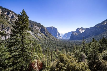 Trump’s NPS Wants to Privatize Some of Yosemite. Say No in a Message to Interior Secretary Doug Burgum.