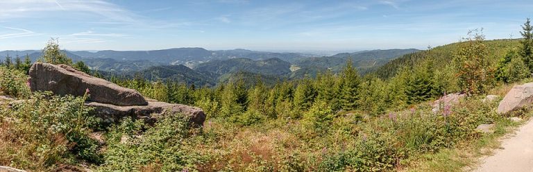 Global Warming and Forest Fire in Germany in 2026