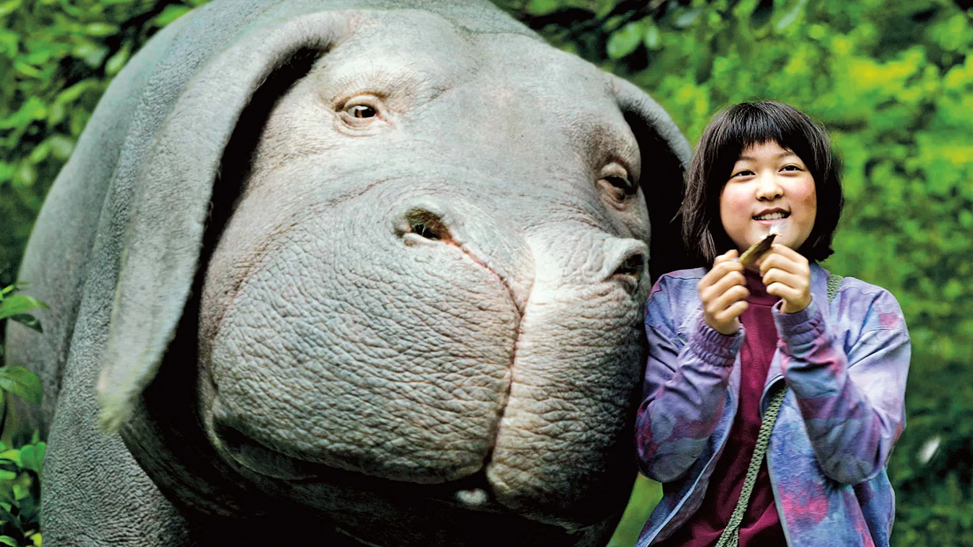Animal Liberationists at the Movies
