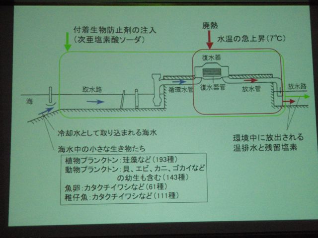 Life and Chlorine not Assessed Properly