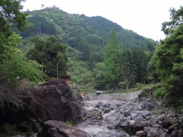 AAN's Fukutani House's BackYard View