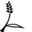 Picture of Grain Grain
